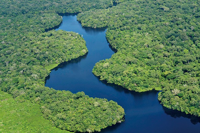地球的呼吸 - 天堂雨林(图)