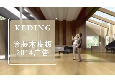 2014 KD木皮板电视广告(图)
