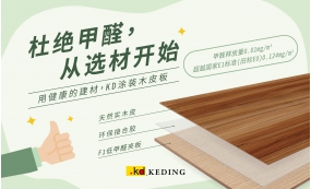 杜绝甲醛，从选材开始，用健康的建材KD涂装木皮板(图)