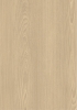 榆木山纹(图)